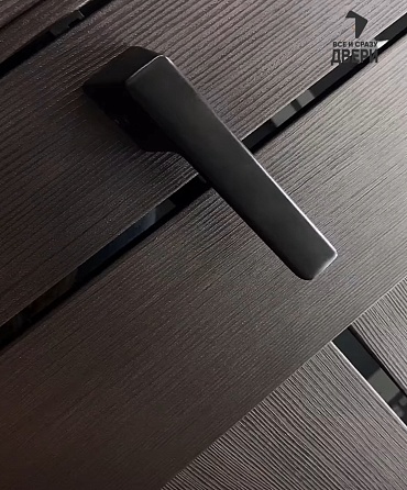 Межкомнатная дверь с экошпоном Браво-29 Wenge Melinga/Black Star